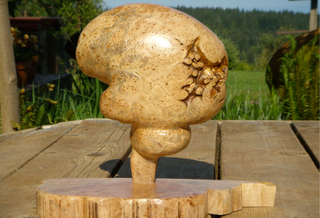 Illustration for article titled This is a tree. It's also a brain.